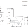 650*385*865mm Rimless Toilet Suite