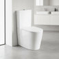 660 x 365 x 875mm Rimless Back To Wall Toilet Suite