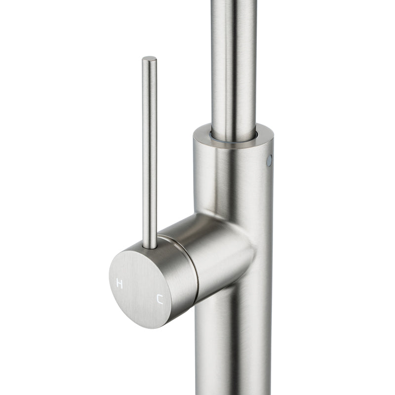 Brushed Nickel Standard Kitchen Mixer
