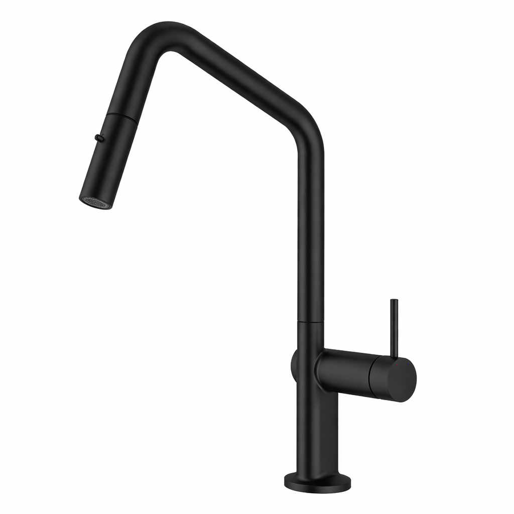 Carysil Angle Matte Black Pull Out Kitchen Mixer