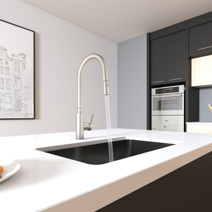 Carysil Round Brushed Nickel Pull Out Kitchen Mixer