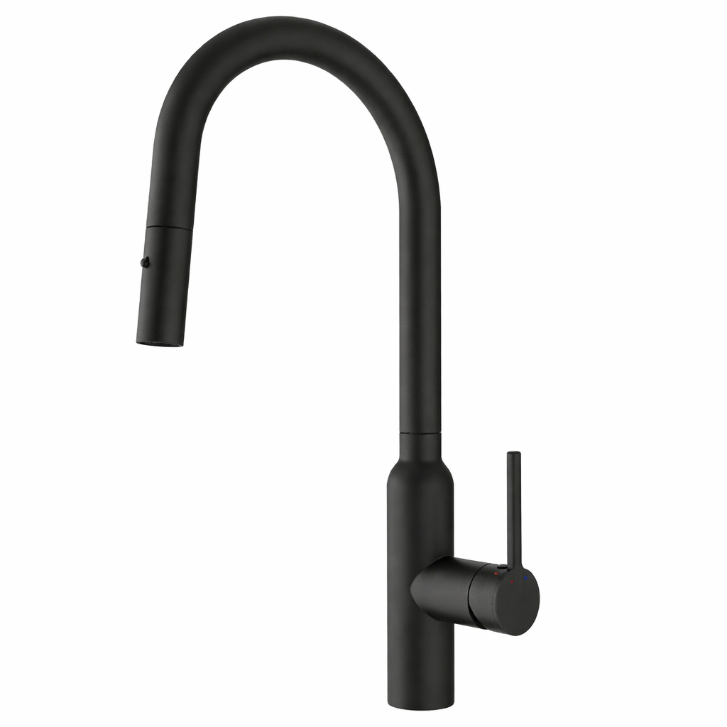 Carysil Round Matte Black Pull Out Kitchen Mixer