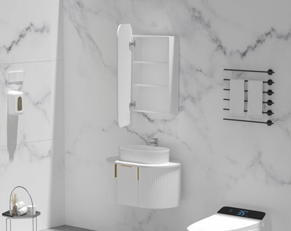 CARYSIL EARLS 450x900mm MATTE WHITE Squircle Shaving Cabinet