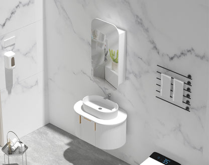 CARYSIL EARLS 450x900mm MATTE WHITE Squircle Shaving Cabinet