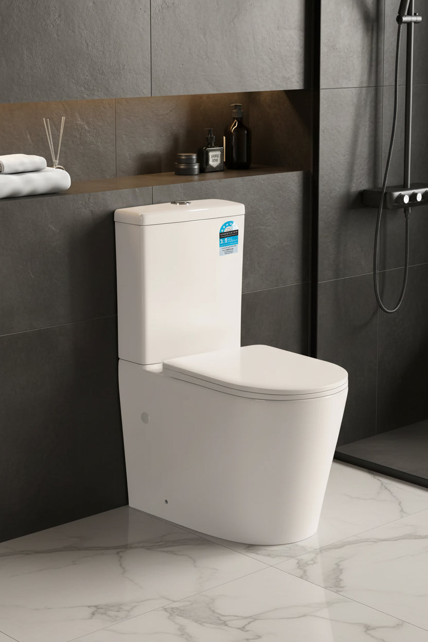 660 x 365 x 875mm Rimless Back To Wall Toilet Suite