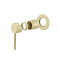 LUCID PIN Light Gold Wall Mixer with 80MM Cover Plate Trim Kit  Only (match CLPM)