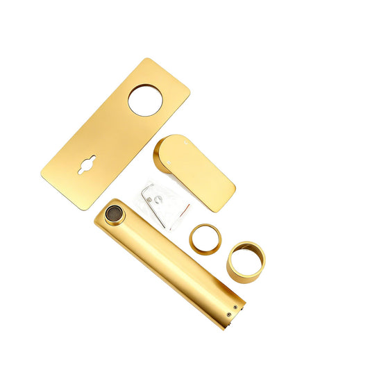 VOG Series Light Brushed Brass Spout Mixer Trim Kit Only (match CLPS)