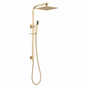 10" Light Brushed Brass Shower Station