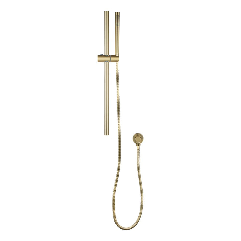 Light Brushed Brass Shower Rail with Handheld Shower