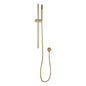 Light Brushed Brass Shower Rail with Handheld Shower