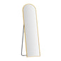 Full Length Mirror Floor Dressing Mirror 160cm