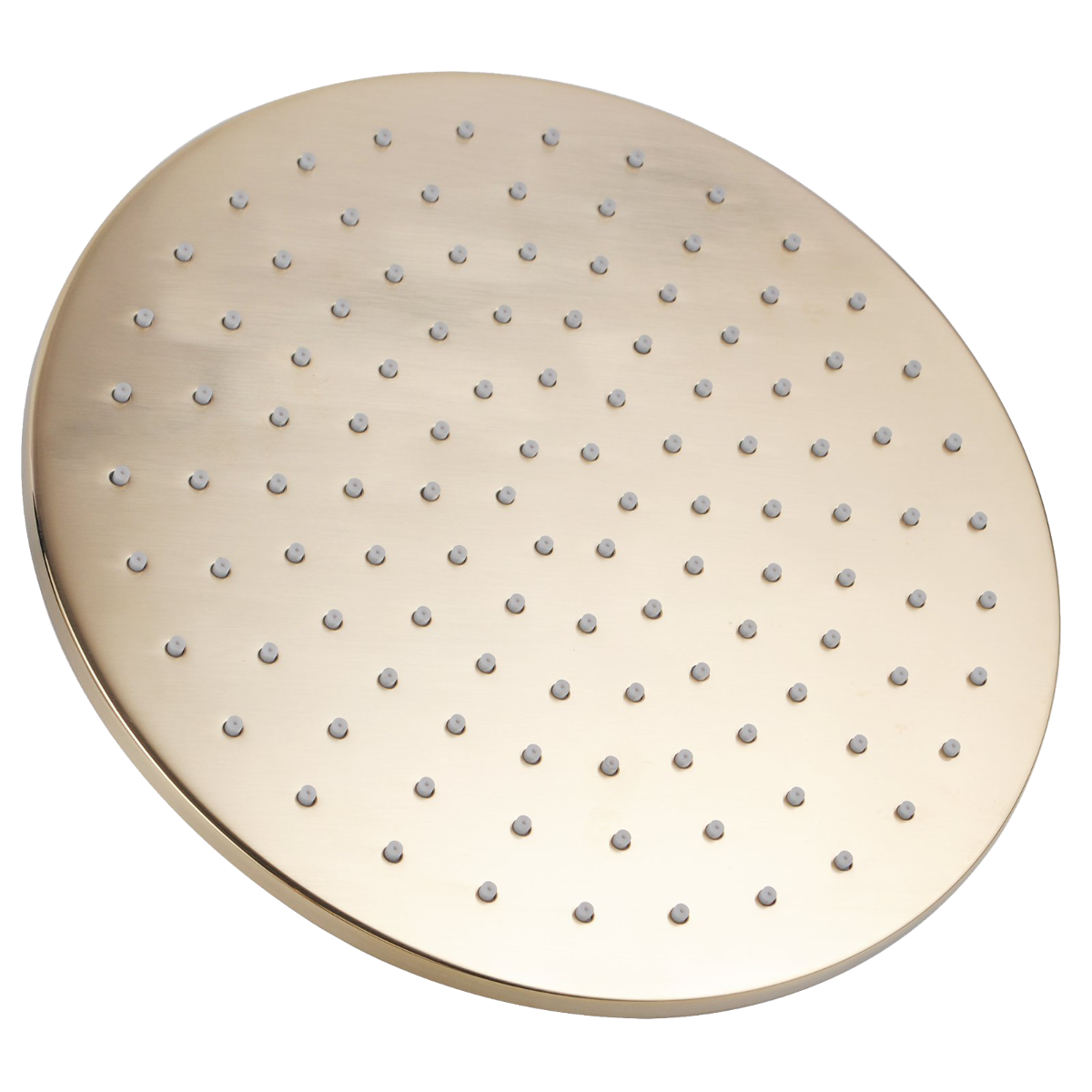 Round Brushed Brass Shower Head 250mm(Brass)