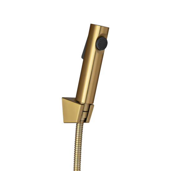 Brushed Brass ABS Toilet Bidet