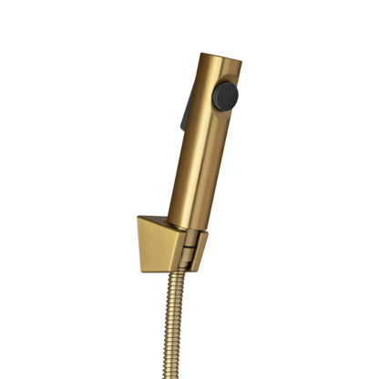 Brushed Brass ABS Toilet Bidet