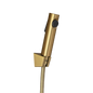 Brushed Brass ABS Toilet Bidet